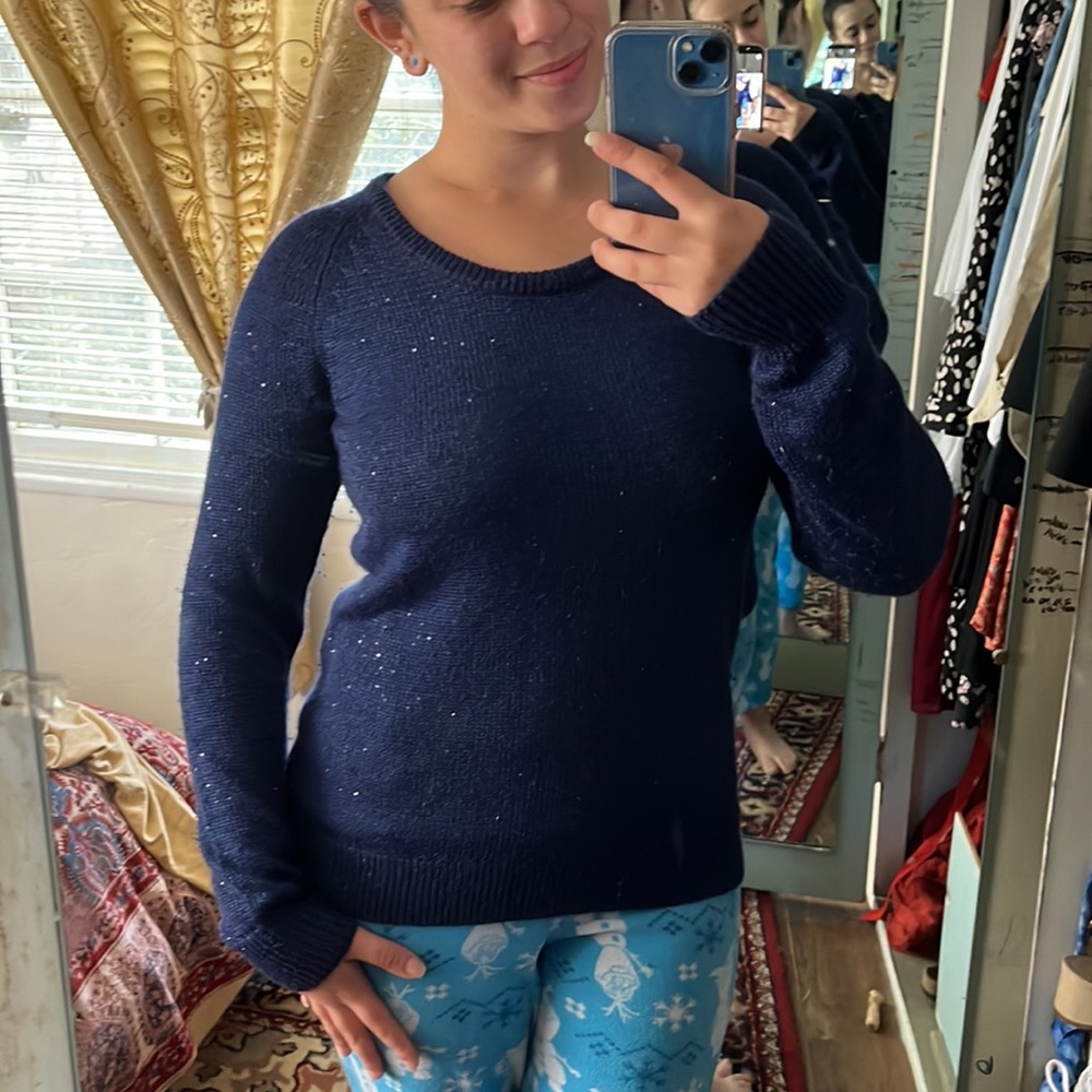 Navy Blue Sparkly Sweater